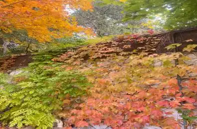 48 The Bridle Path Toronto C12 Ontario M2L 1C8