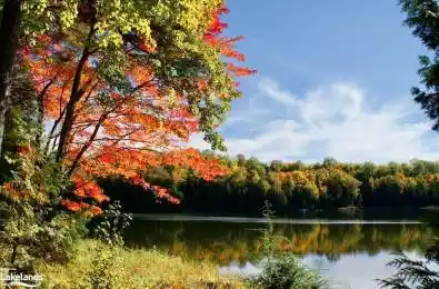 HIGHWAY 35 N/A Minden Hills Ontario K0M 2K0