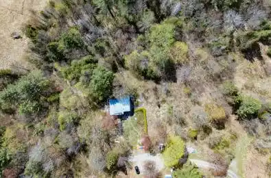 1667 Paint Lake Road Lake of Bays Ontario P0A 1E0