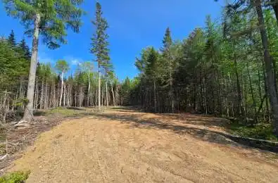 Stoneway Road Kearney Ontario P0A 1M0