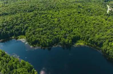 Windermere Road Muskoka Lakes Ontario P0B 1M0