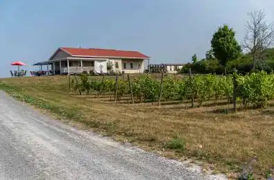 804 Closson Road Prince Edward County Ontario K0K 2J0