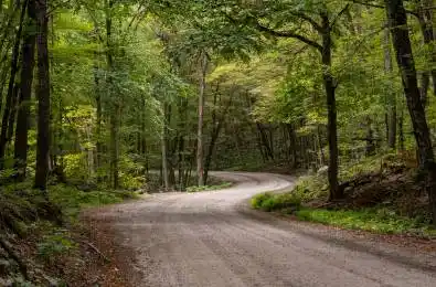 Lot 4 Emsdale Lake Road Perry Ontario P0A 1J0