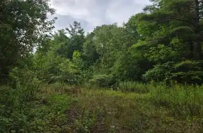 Second Depot Lake Road Central Frontenac Ontario K0H 1T0