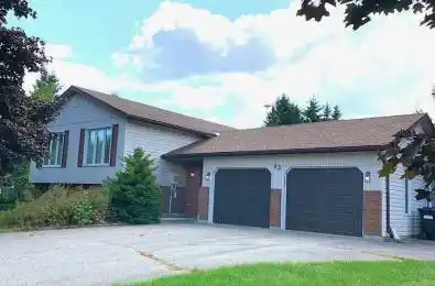 43 Foyston Park Circle Springwater Ontario L0L 1Y0