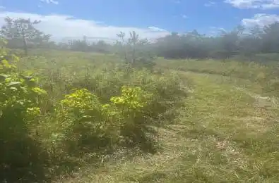 Pt 2 Lot 13 Conc 2 Asphodel 3rd Line Asphodel-Norwood Ontario K0L 2V0