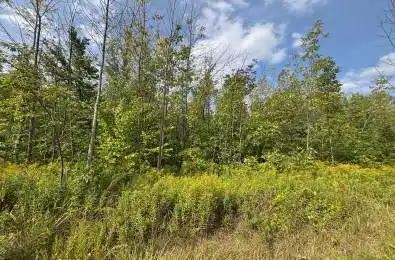 Cedar Avenue Meaford Ontario N4L 1W5