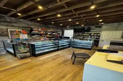 394 Spadina Avenue Unit# SECOND FLOOR Toronto C01 Ontario M5T 2G5