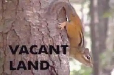 . LOWER SLASH Road Tyendinaga Ontario K0K 1X0