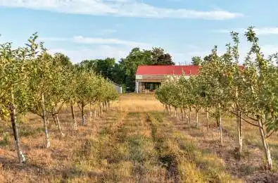 890 Danforth Road Prince Edward County Ontario K0K 2J0