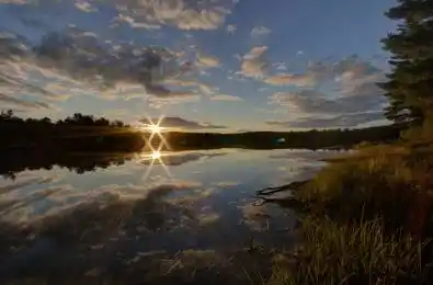 1130 Chetwynd Road Armour Ontario P0A 1C0