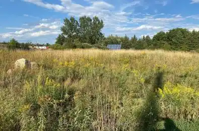 Artemesia Street Southgate Ontario N0C 1B0