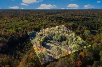 413 Swamp Road Admaston/Bromley Ontario K7V 3Z9