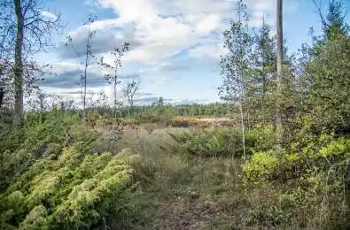 Lot 256 McGuire Beach Road Kawartha Lakes Ontario K0M 2B0