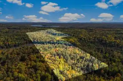 455 PASSAW Road North Algona Wilberforce Ontario K0J 1T0