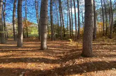 Maebar Road Minden Hills Ontario K0M 2K0