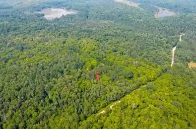 N/A Fern Glen Road McMurrich/Monteith Ontario P0A 1Y0