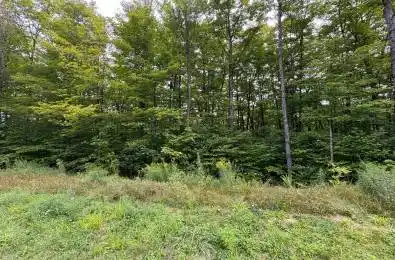 Lot 11 Millie's Way Armour Ontario P0A 1C0