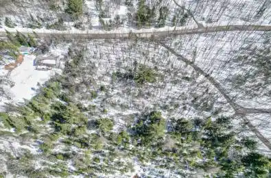 989 North Waseosa Lake Road Huntsville Ontario P1H 2J4