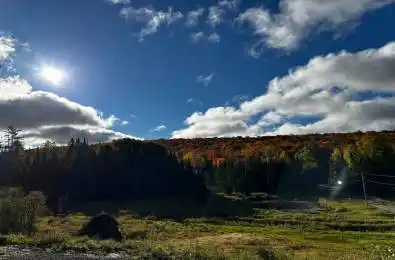 556 Highway 518 N/A Perry Ontario P0A 1J0