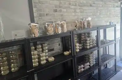 153 Morningside Avenue Toronto E10 Ontario M1E 3C8