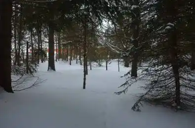 146 Whiting Street Ingersoll Ontario N5C 3B3