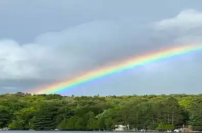 1433 South Horn Lk Road Ryerson Ontario P0A 1C0