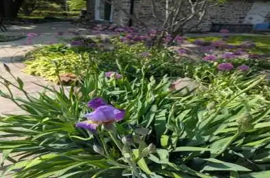 1583 Innisfil Beach Road Innisfil Ontario L9S 4B3