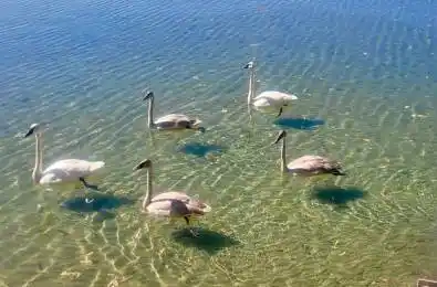 2644 Lakeshore Drive Ramara Ontario L0K 1B0