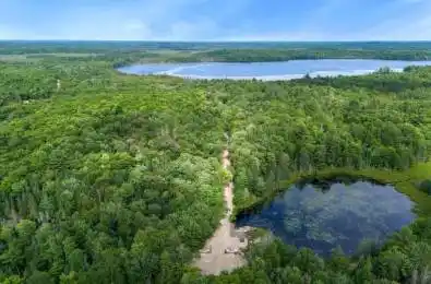 15 Axe Lake Road McMurrich/Monteith Ontario P0A 1Y0