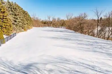 29 Country Heights Drive Richmond Hill Ontario L4E 3M8