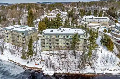 31 Dairy Lane Unit# 308 Huntsville Ontario P1H 2L7